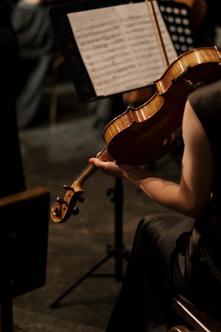 A close-up of a violinist playing during a concert, showcasing musical elegance.